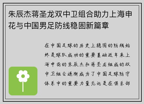 朱辰杰蒋圣龙双中卫组合助力上海申花与中国男足防线稳固新篇章